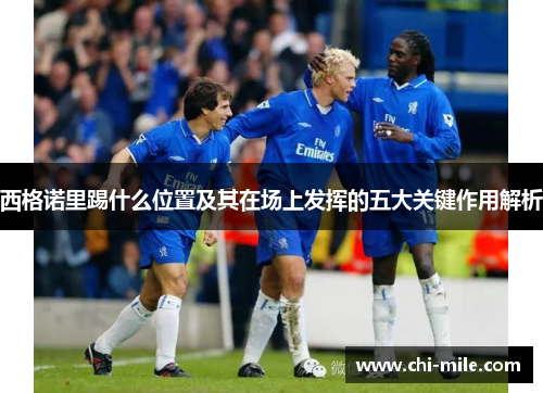 西格诺里踢什么位置及其在场上发挥的五大关键作用解析