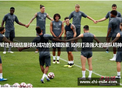 韧性与团结是球队成功的关键因素 如何打造强大的团队精神 韧性与团结是球队成功的关键因素 如何打造强大的团队精神