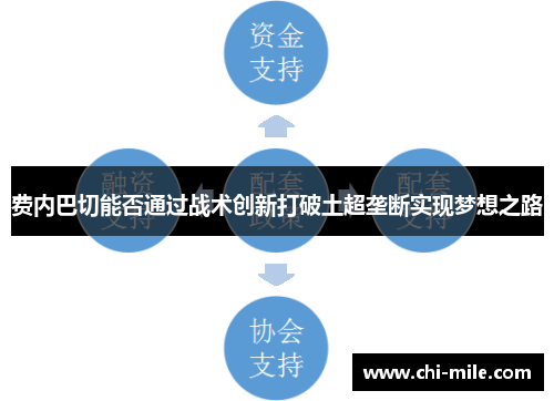 费内巴切能否通过战术创新打破土超垄断实现梦想之路