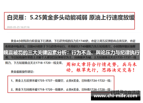 魏震被罚的三大关键因素分析:行为不当、舆论压力与纪律执行 魏震被罚的三大关键因素分析:行为不当、舆论压力与纪律执行